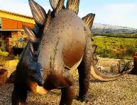 Stegosaurus Dinosaur Jig...