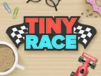 Tiny Race Toy Car Raci...