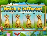 Which Is Different Anima...